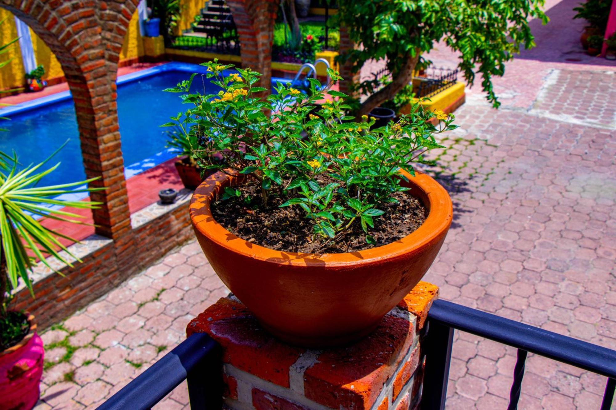 Posada Las Margaritas Tlaquepaque Eksteriør bilde
